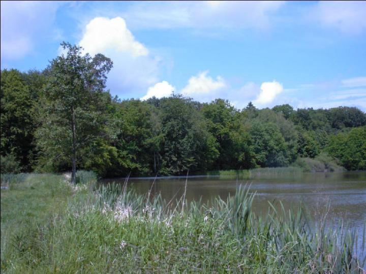 Der Stachelsee